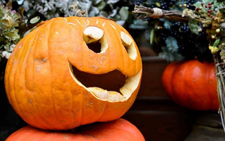 Funny and Scary Halloween Quotes and Sayings for You Funny and Scary Halloween Quotes and Sayings for You