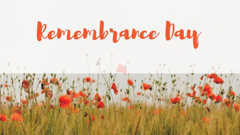 Influential Remembrance Day Quotes To Make A Statement Influential Remembrance Day Quotes To Make A Statement