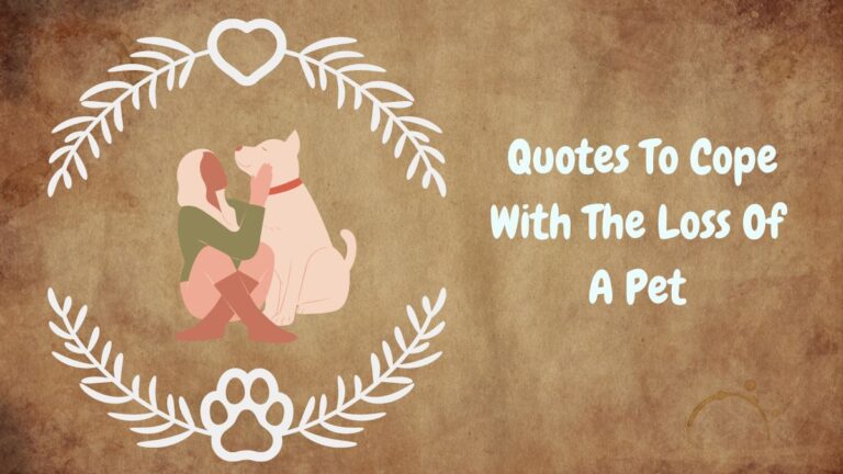 Emotional Sayings For The Loss Of A Pet Emotional Sayings For The Loss Of A Pet