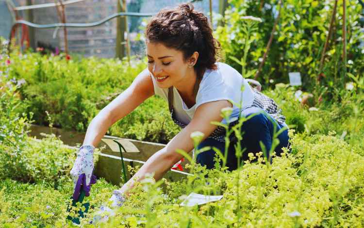 How to Start Gardening for Mental Health and Wellness