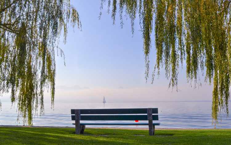 Tips and Guidelines to Help You Find Inner Peace