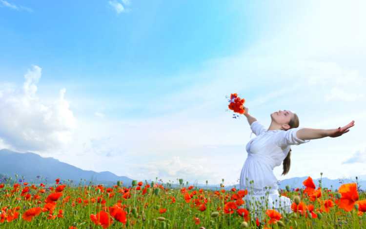A Short Story with Tips About Finding Joy in Everyday Life A Short Story with Tips About Finding Joy in Everyday Life