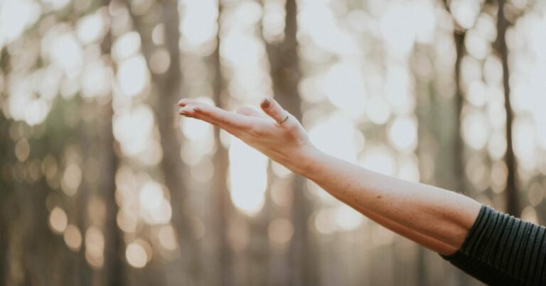 A Better Path to Contentment A Better Path to Contentment