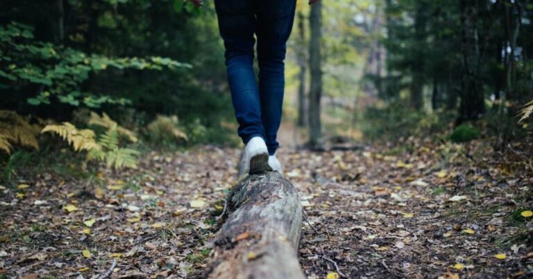 5 Steps to a Balanced Life 5 Steps to a Balanced Life