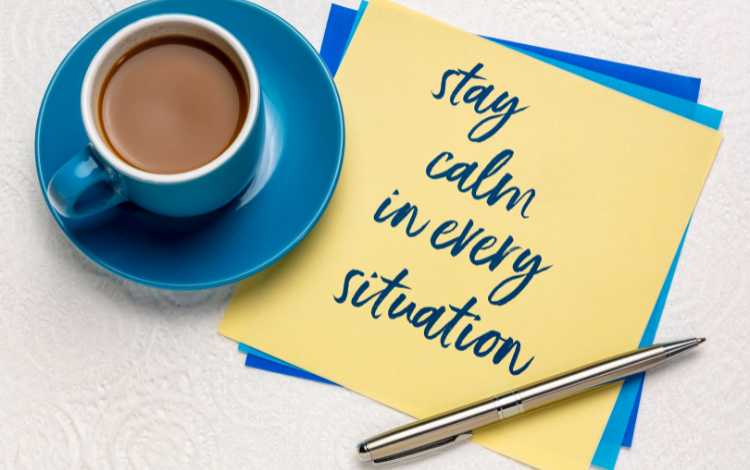 Why You Need to Calm Your Mind: Reasons, Tips and Strategies Why You Need to Calm Your Mind: Reasons, Tips and Strategies