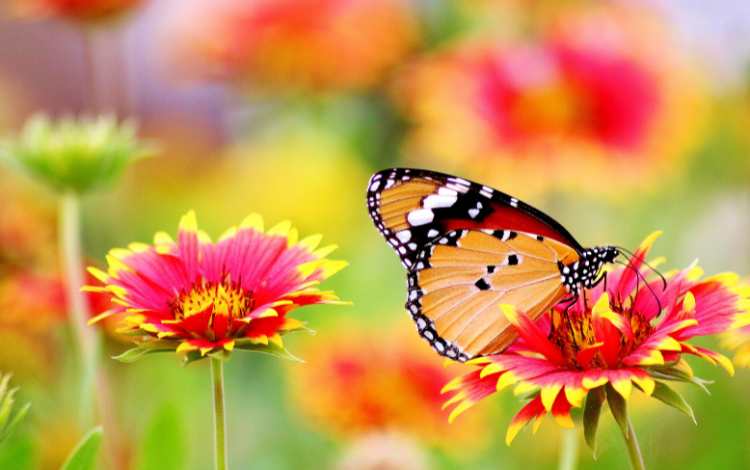 5 Ways to Bring Conscious Living into Your Daily Routine 5 Ways to Bring Conscious Living into Your Daily Routine