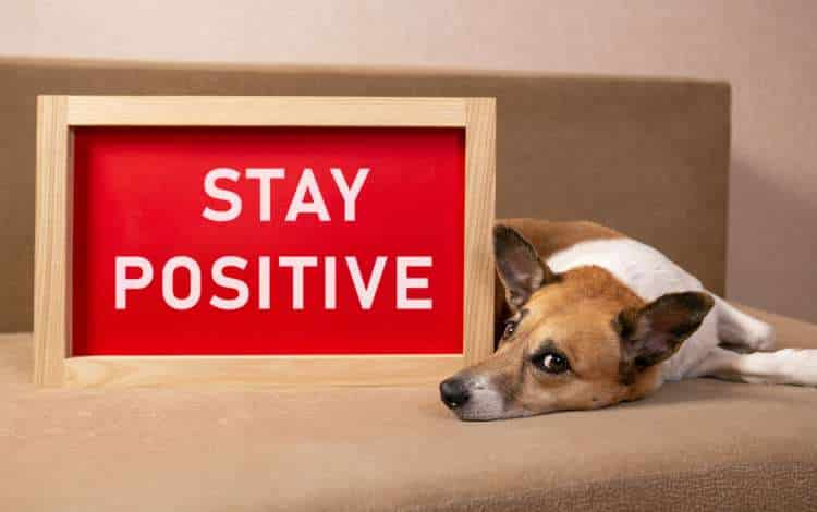 How to Stay Positive When Facing Difficulties in Life
