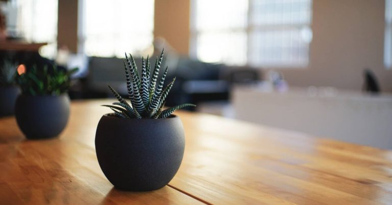 How to Systematically Declutter Your Life