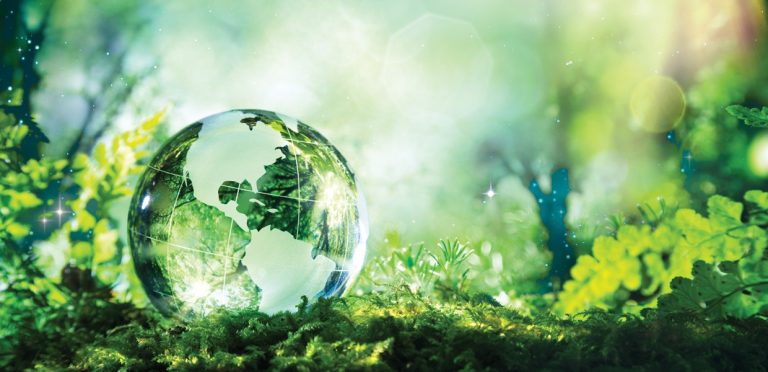 Happy Earth Day! 6 Ways to Celebrate Mother Earth Happy Earth Day! 6 Ways to Celebrate Mother Earth