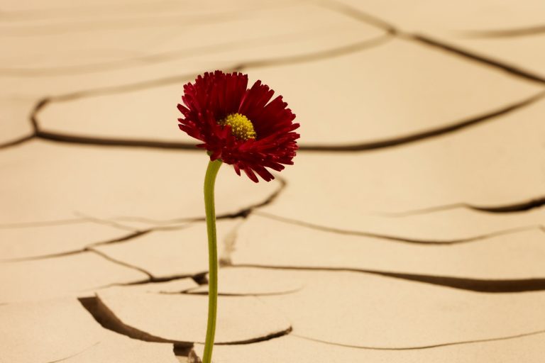 Three Ways to Find Meaningful Work After a Debilitating Setback Three Ways to Find Meaningful Work After a Debilitating Setback