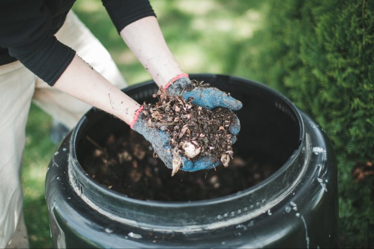 Want to Start a Simple Business That Helps the Planet? Here’s One Eco-Friendly Gig That Makes $200K a Year. Want to Start a Simple Business That Helps the Planet? Here’s One Eco-Friendly Gig That Makes $200K a Year.