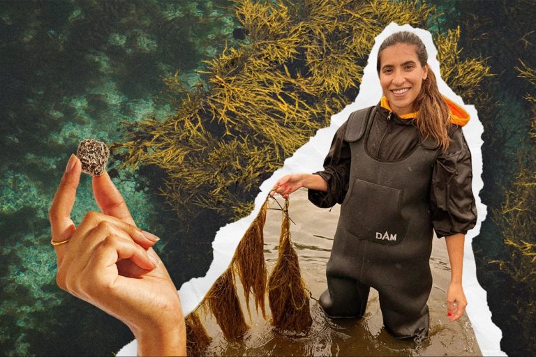 This Company Is Disrupting the $600 Billion Menopause Market with Seaweed — And You Can Invest This Company Is Disrupting the $600 Billion Menopause Market with Seaweed — And You Can Invest