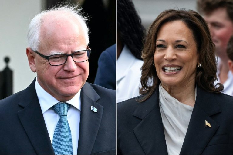 Harris-Walz Team Will Have to Pay Thousands for Website Name
