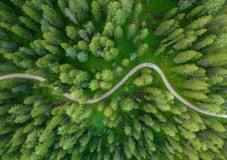 Choosing Your Minimalist Path