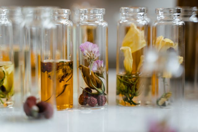 Scent and Healing: A Brief History of Aromatherapy
